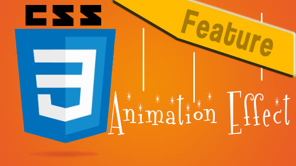 CSS3 Animation Effect